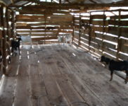 Goat House